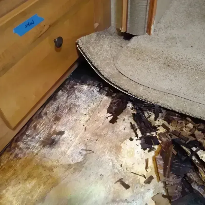 Wood Floor Water Damage in Dodge County, GA